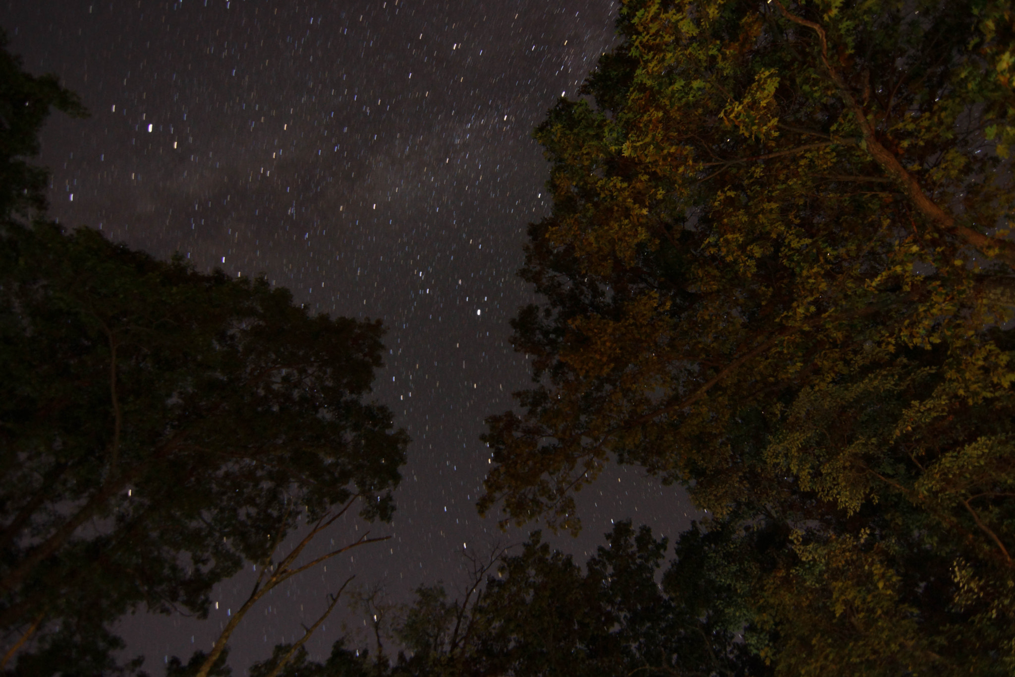 Sony SLT-A65 (SLT-A65V) + 20mm F2.8 sample photo. Astrophotography photography