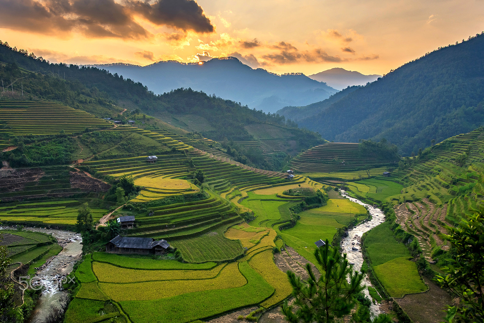 Nikon AF-S Nikkor 17-35mm F2.8D ED-IF sample photo. Rice field on terraces panoramic hillside with rice farming on m photography