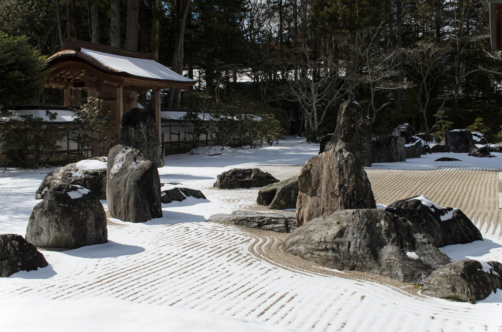 Nikon D7000 + Sigma 30mm F1.4 EX DC HSM sample photo. Japanese garden with snow photography