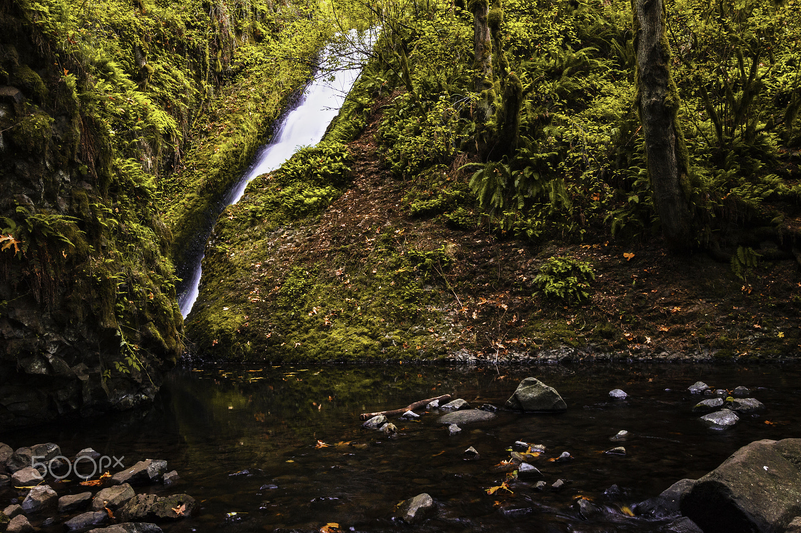 Canon EF-S 10-22mm F3.5-4.5 USM sample photo. Bridal veil falls, oregon photography