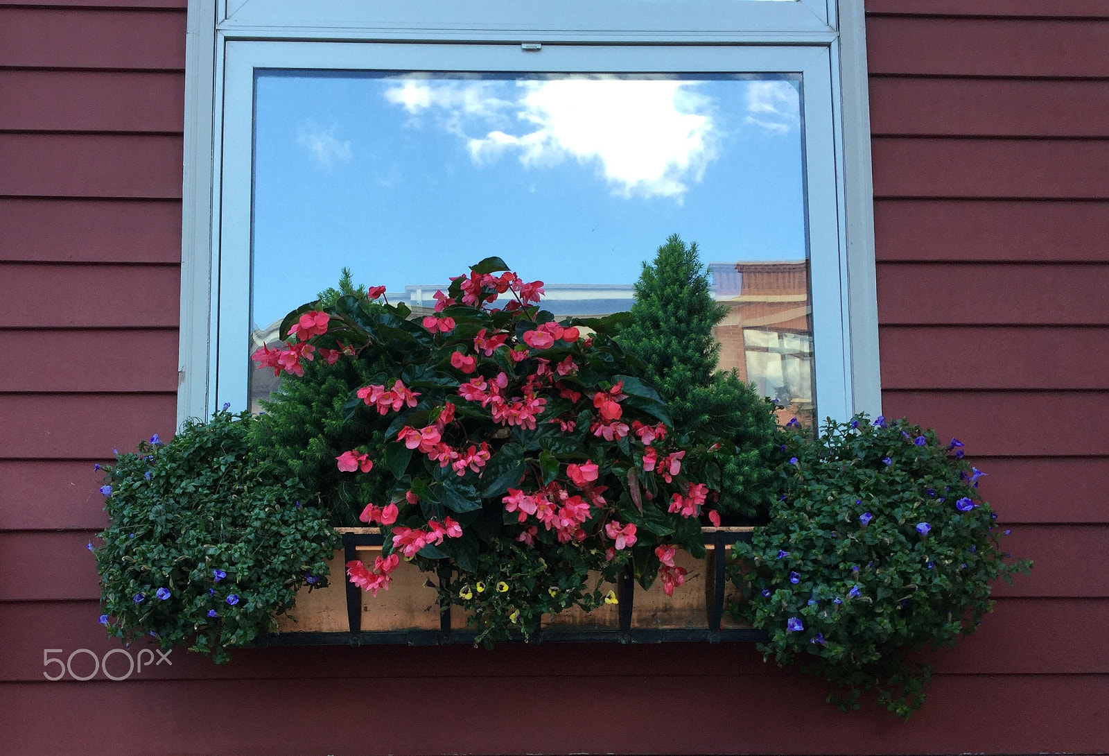 Apple iPad5,3 sample photo. Window box photography