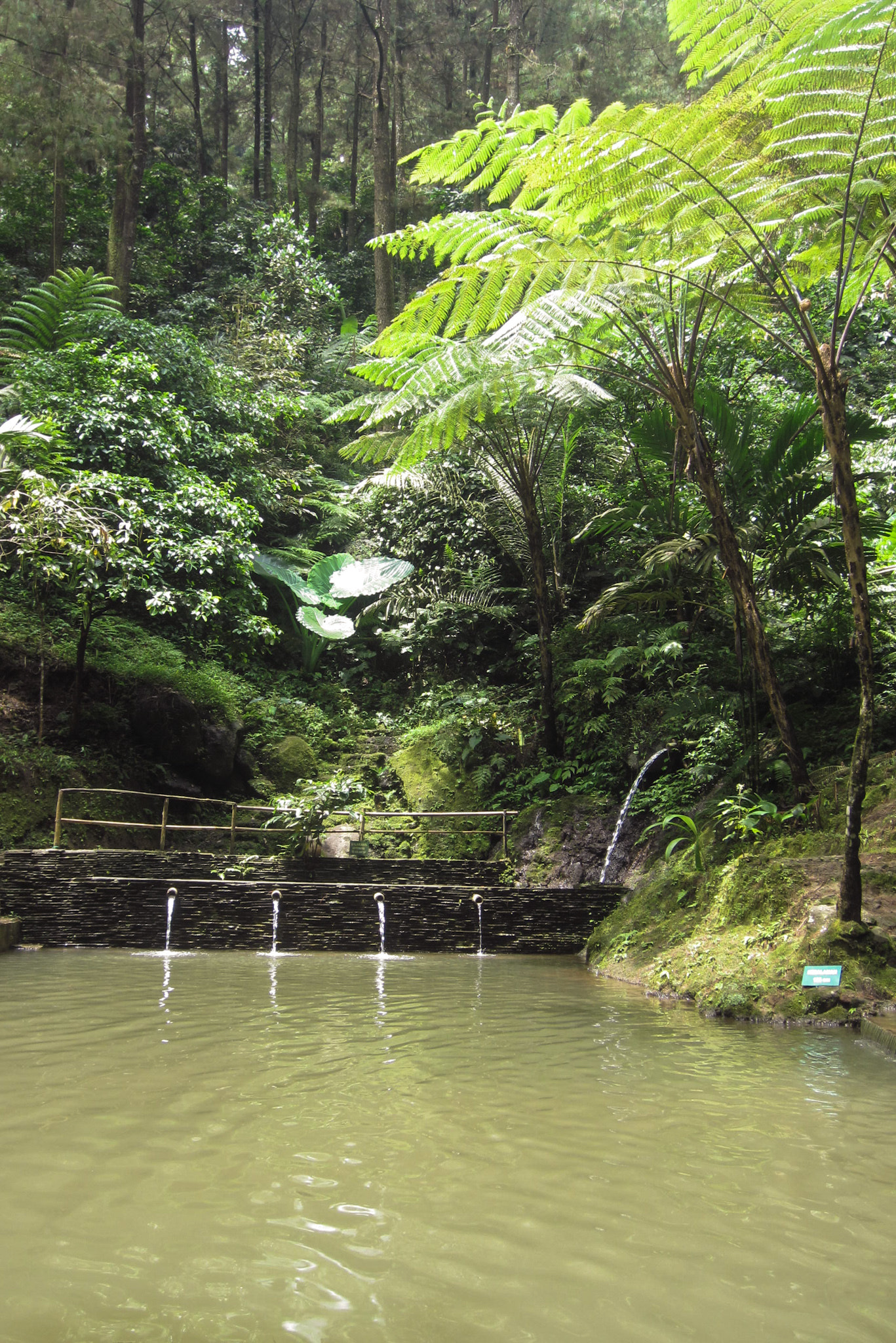 Canon PowerShot ELPH 300 HS (IXUS 220 HS / IXY 410F) sample photo. Kolam curug cipeteuy photography