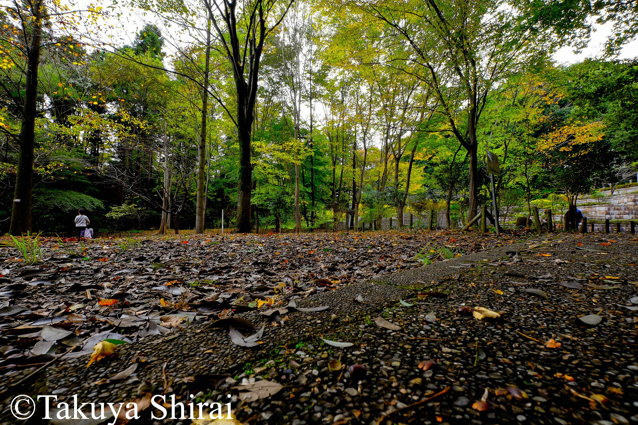 Fujifilm XF 10-24mm F4 R OIS sample photo. Color of autumn. photography