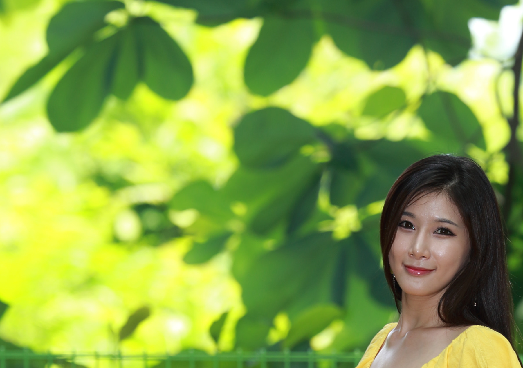Canon EOS-1D X + Canon EF 200mm F2L IS USM sample photo. Well-matched photography