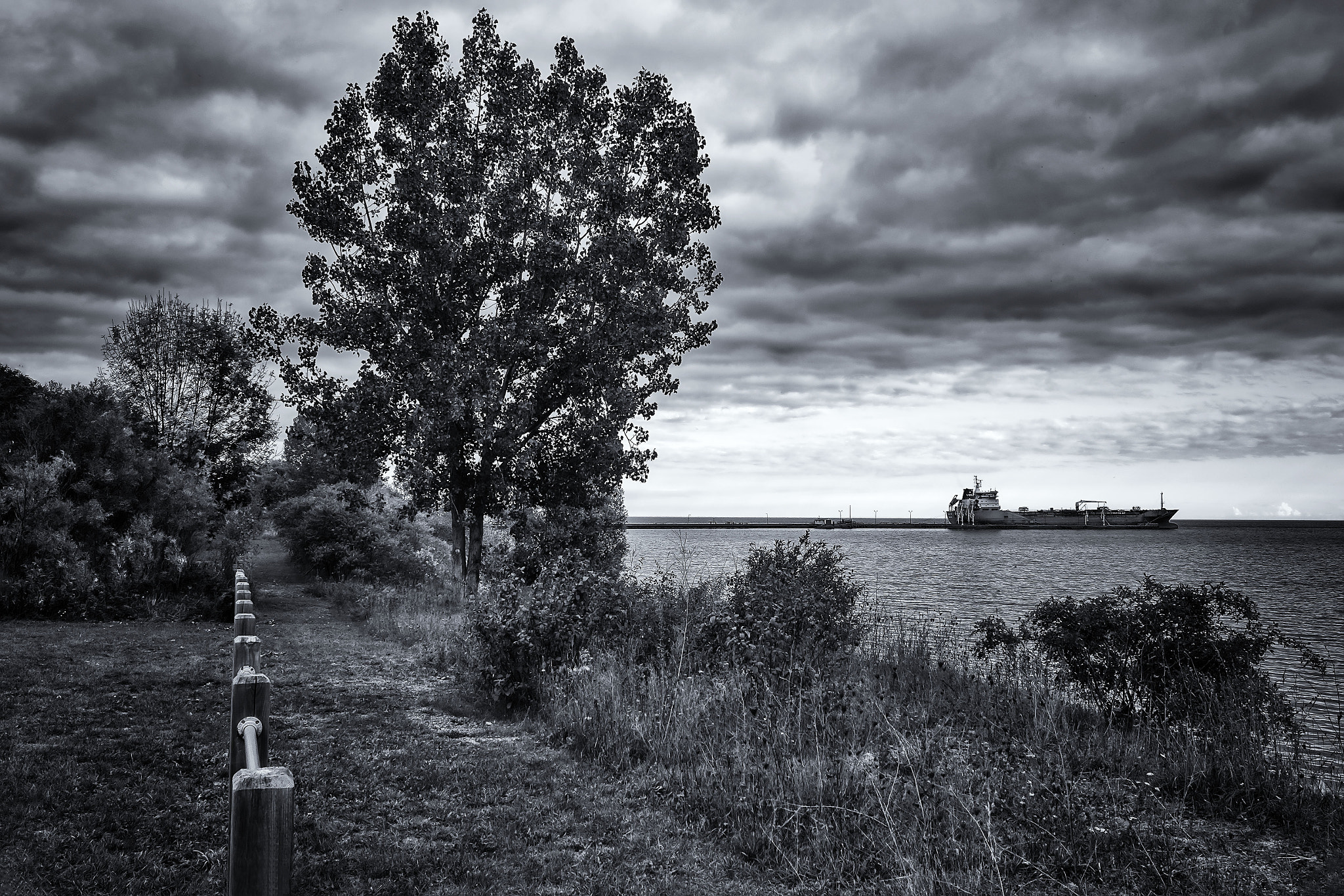 Fujifilm XC 16-50mm F3.5-5.6 OIS sample photo. Lakeside park photography