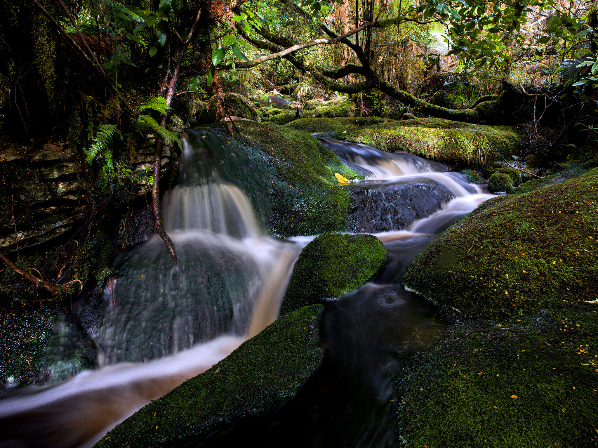 Hasselblad H3D sample photo. *** photography