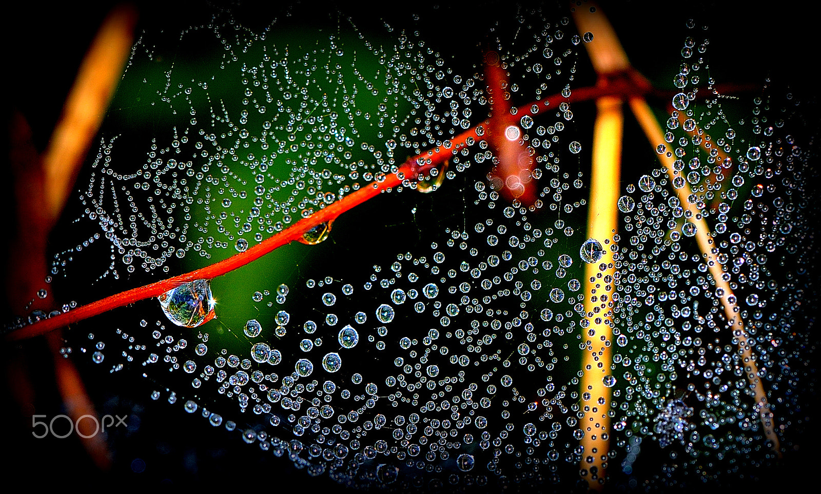 Nikon AF-S DX Micro-Nikkor 85mm F3.5G ED VR sample photo. галактика photography