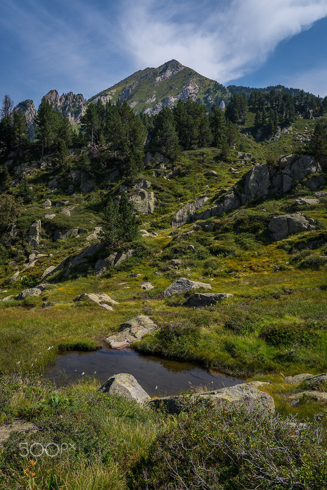 Nikon D600 + Nikon AF-S Nikkor 28mm F1.8G sample photo. Pyrénées. photography