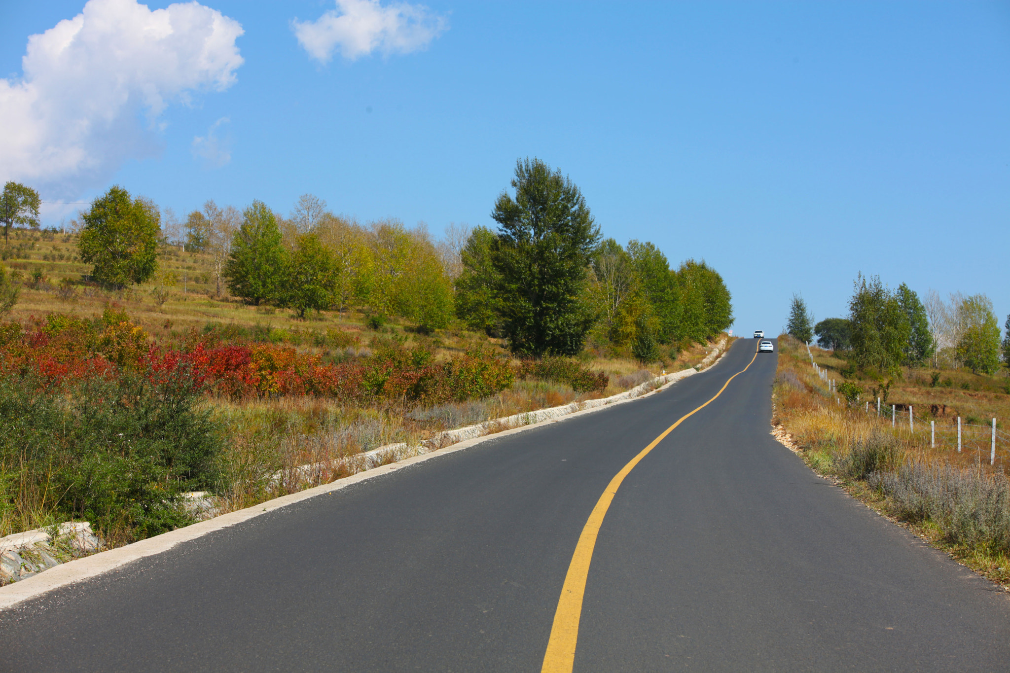 Sigma 70-200mm F2.8 EX DG OS HSM sample photo. Road photography