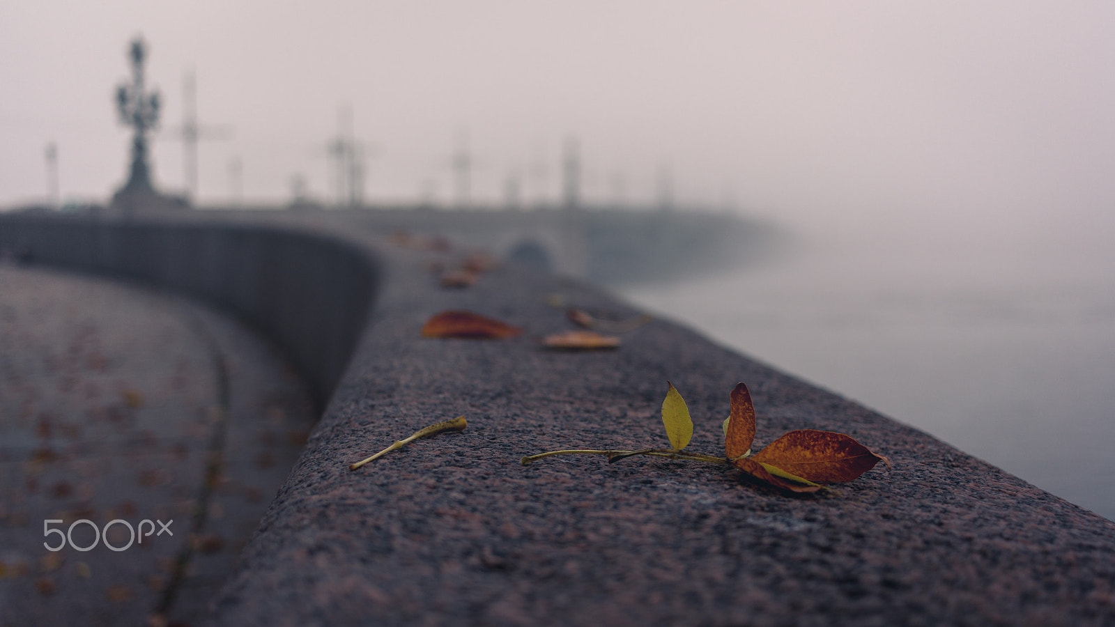 Canon EF-S 24mm F2.8 STM sample photo. Foggy morning photography