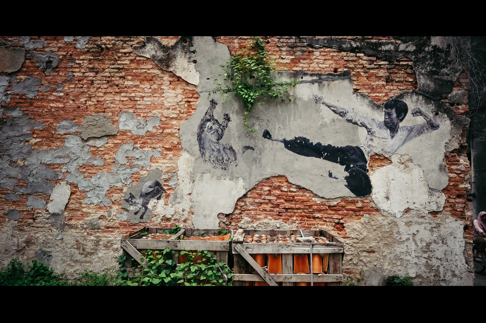 Sigma 10-20mm F4-5.6 EX DC HSM sample photo. Li xiaolong on the wall photography