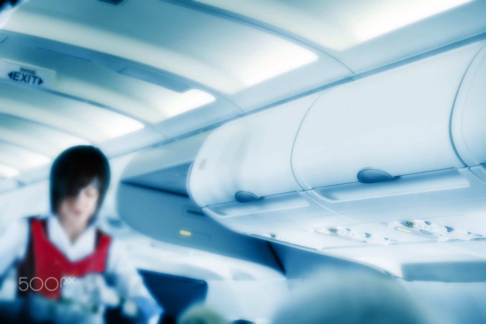 Canon EOS 6D + Canon EF 100mm F2.8L Macro IS USM sample photo. Aairplane cabin with the flight attendant photography