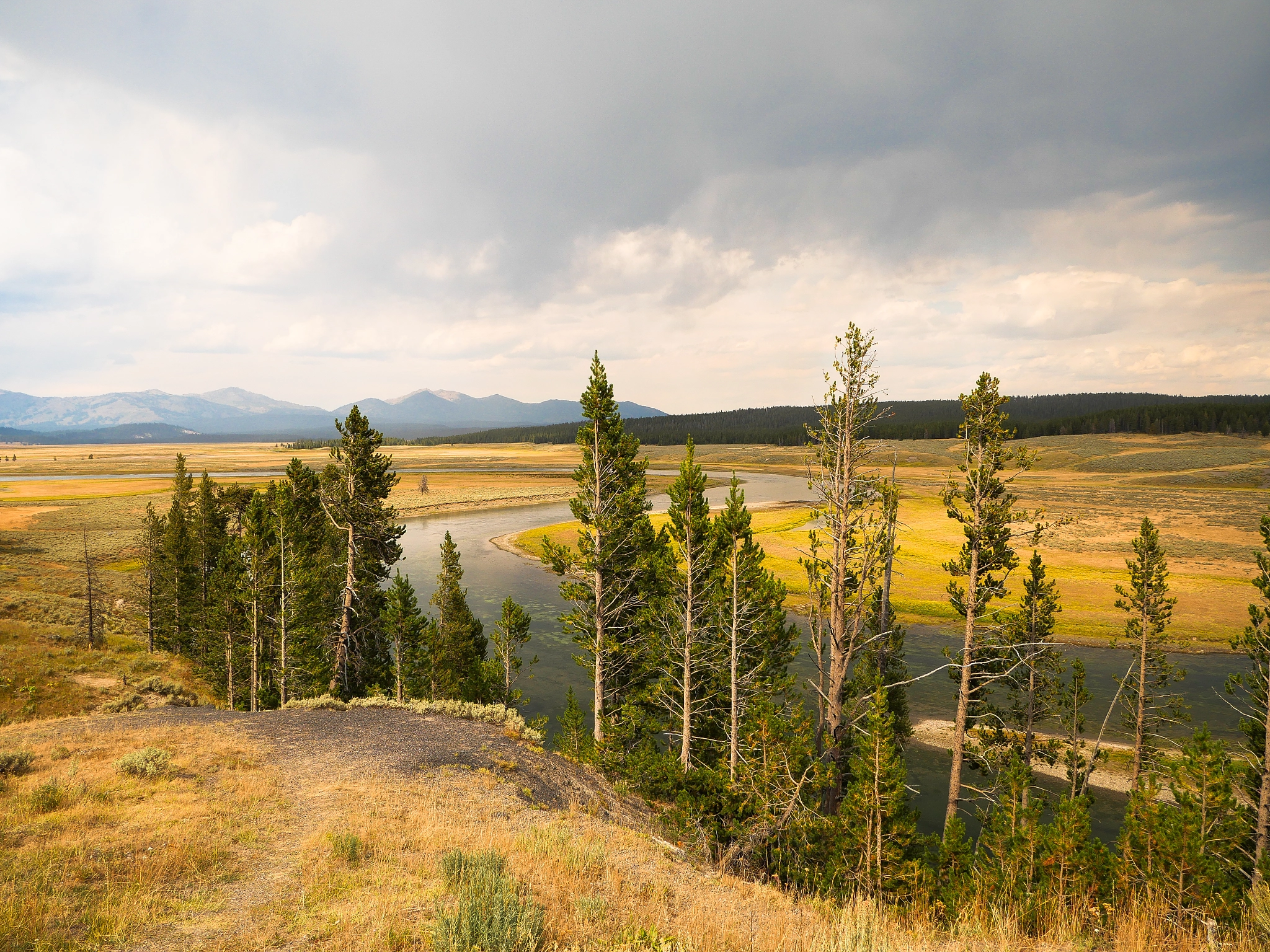 LUMIX G VARIO 12-60/F3.5-5.6 sample photo. Yellowstone river photography
