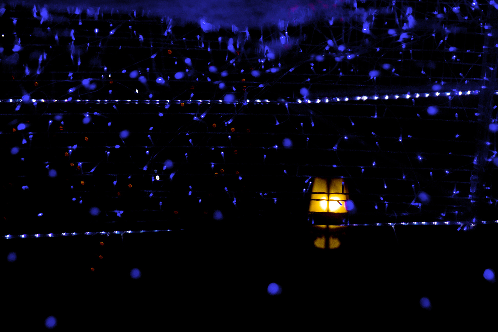 Sigma 18-250mm F3.5-6.3 DC OS HSM sample photo. Blue snow photography