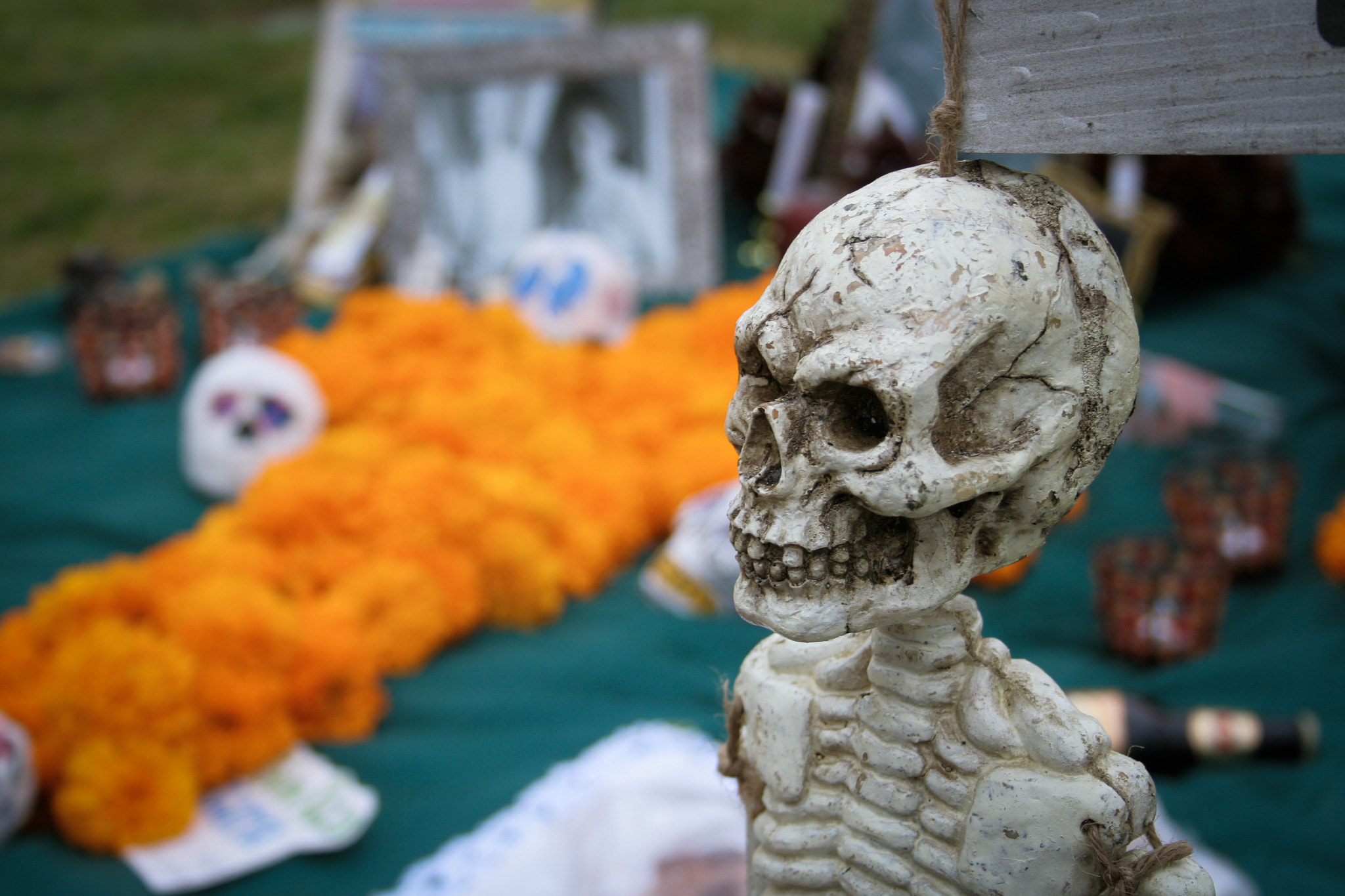 Canon EF 28-70mm f/3.5-4.5 sample photo. Dia de los muertos #33 photography