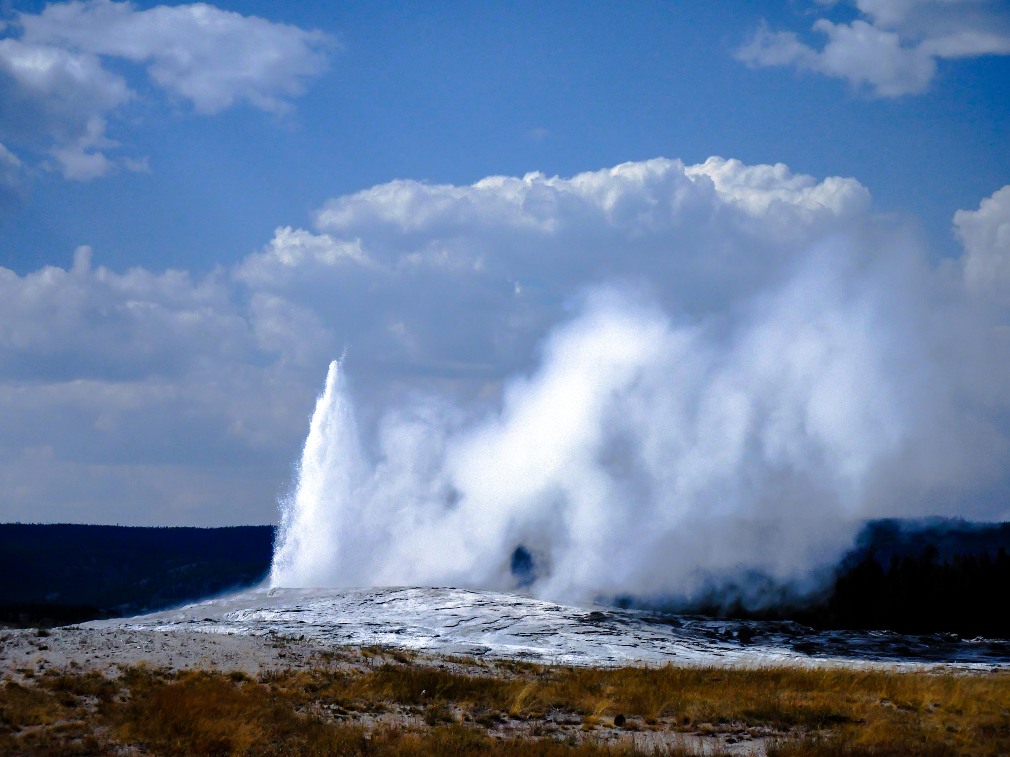 LUMIX G VARIO 12-60/F3.5-5.6 sample photo. Old faithful photography