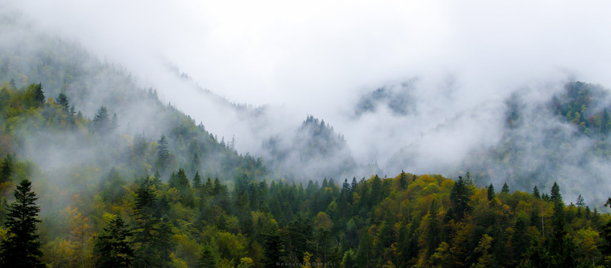 Canon EF 24-105mm F3.5-5.6 IS STM sample photo. Berchtesgaden national park photography