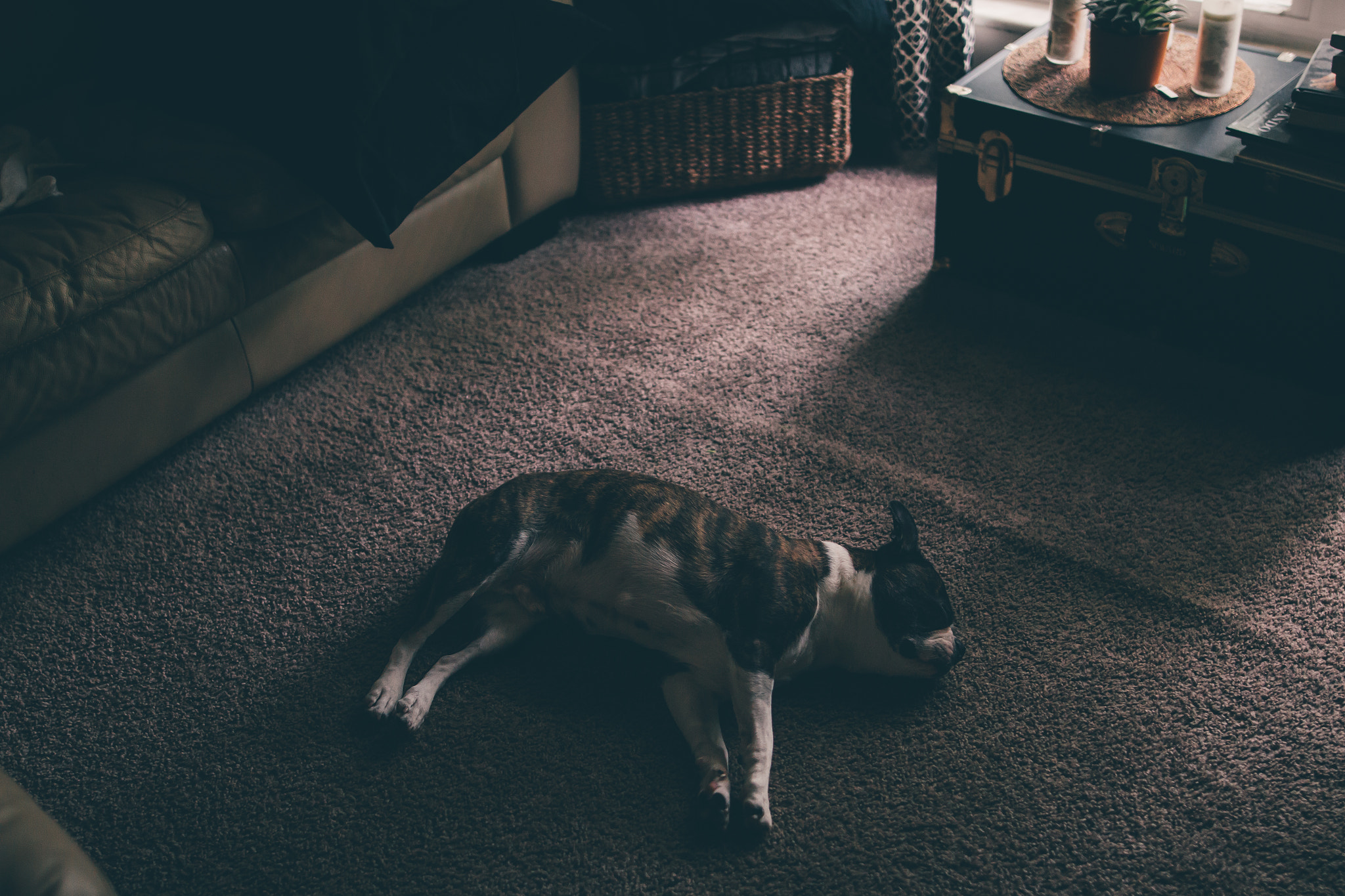 Sigma 24mm F1.4 DG HSM Art sample photo. Slow days. photography