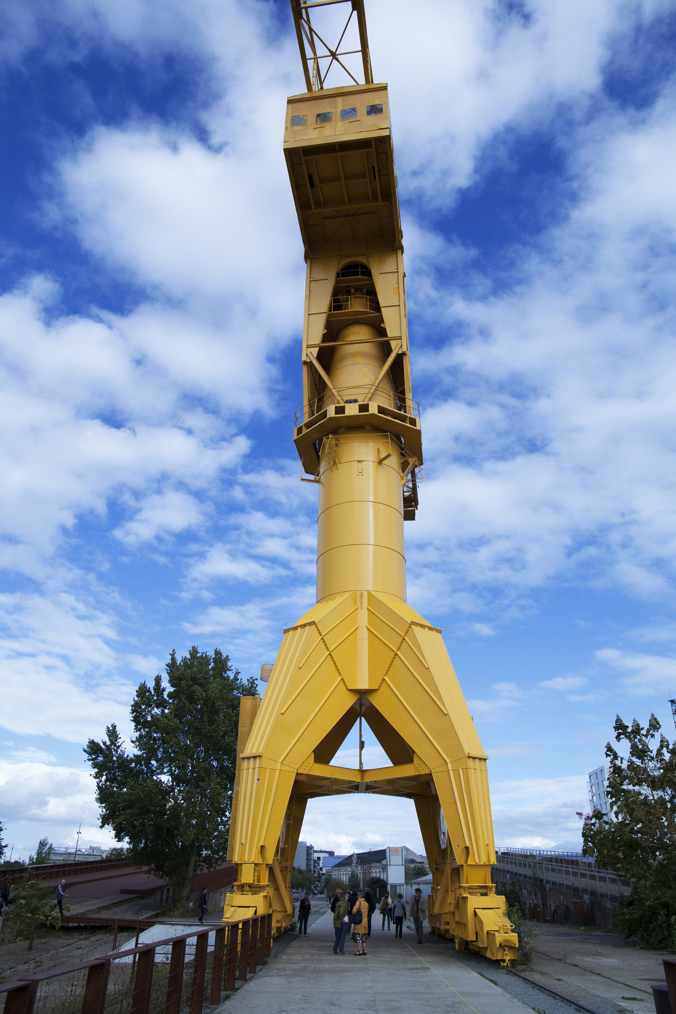 Canon EF 24-105mm F3.5-5.6 IS STM sample photo. The yellow giant photography