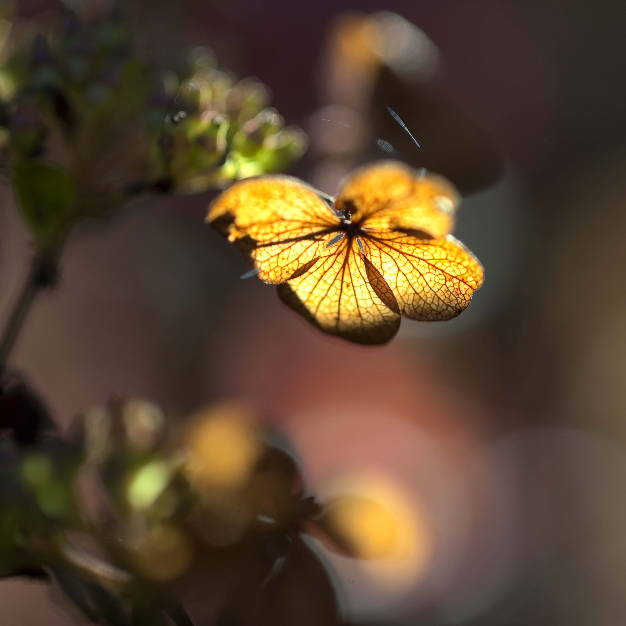 Nikon D3 sample photo