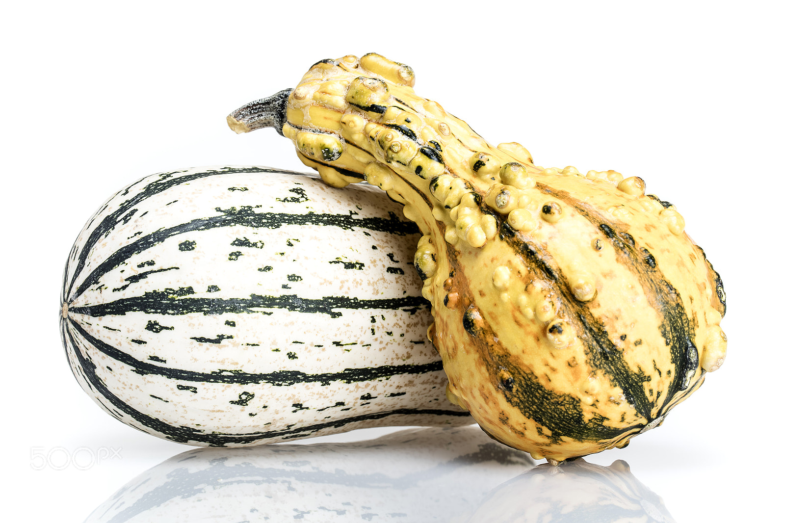 Canon EF 100mm F2.8L Macro IS USM sample photo. Delicata squash and gourd on white background photography
