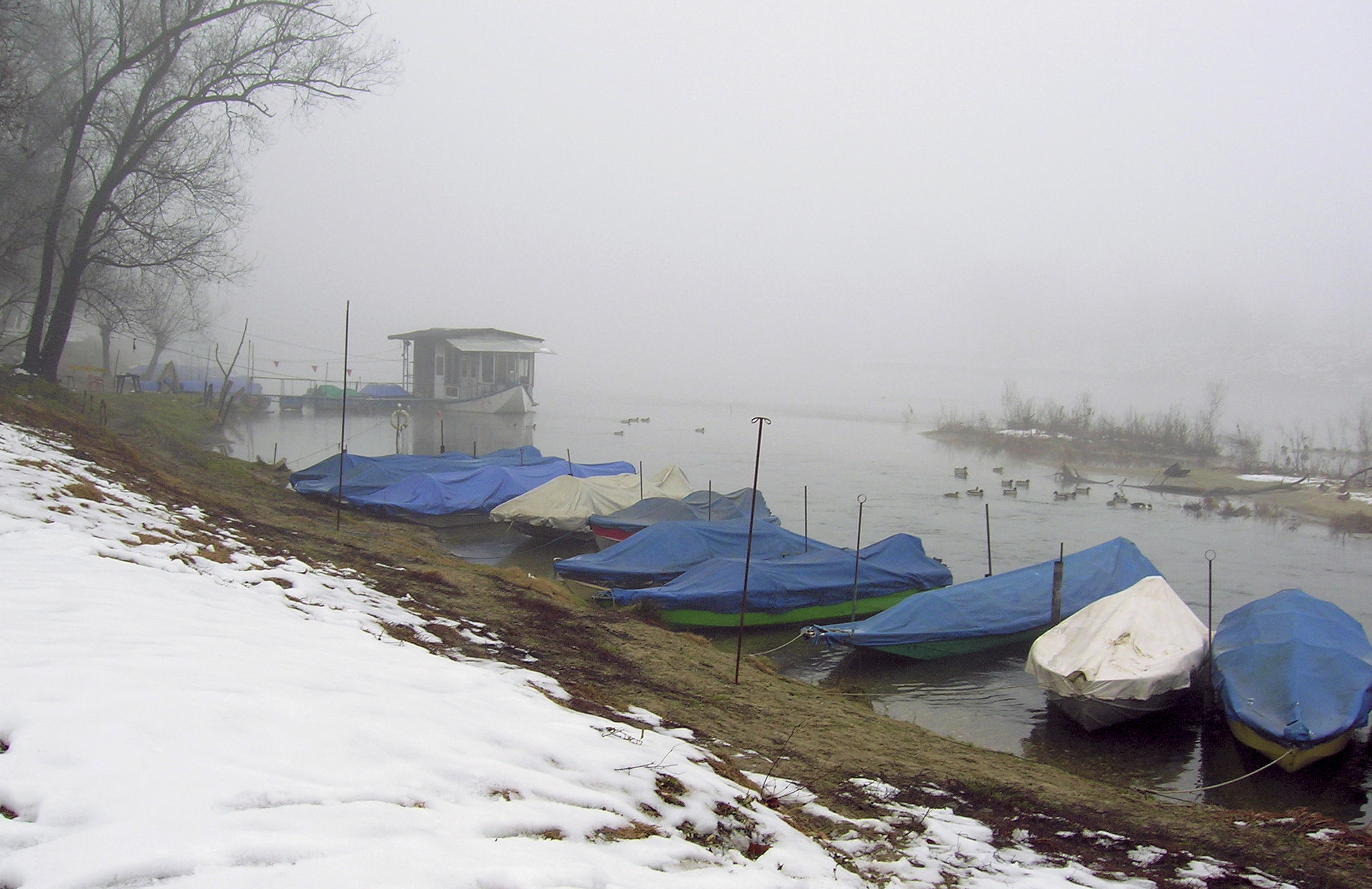 Nikon E4600 sample photo. Inverno sul fiume ticino photography