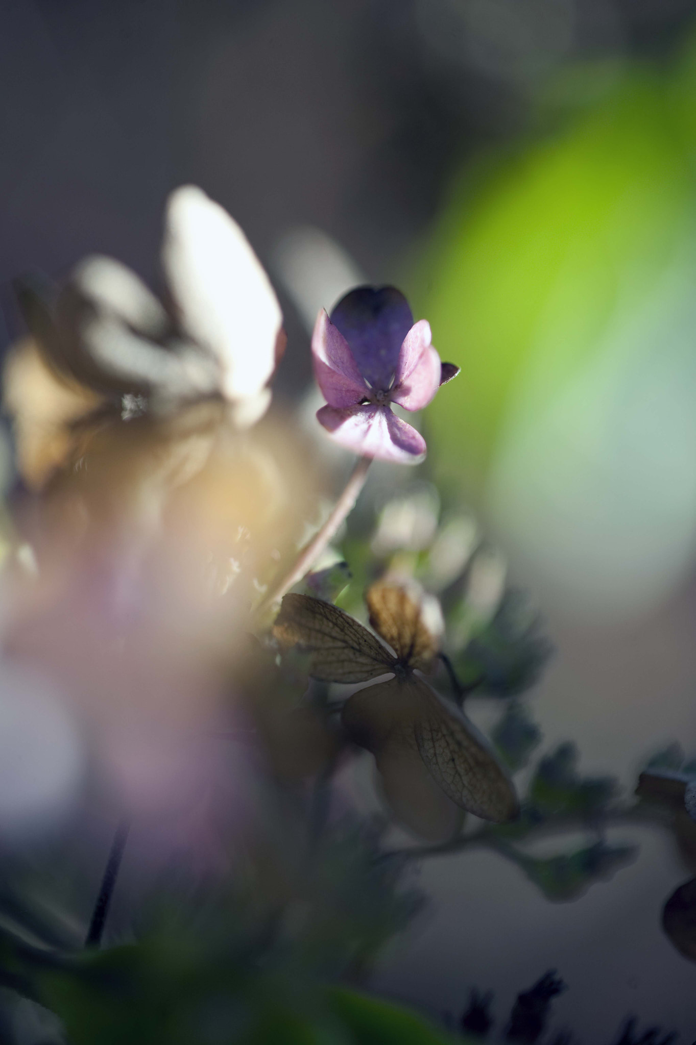 Nikon D3 sample photo