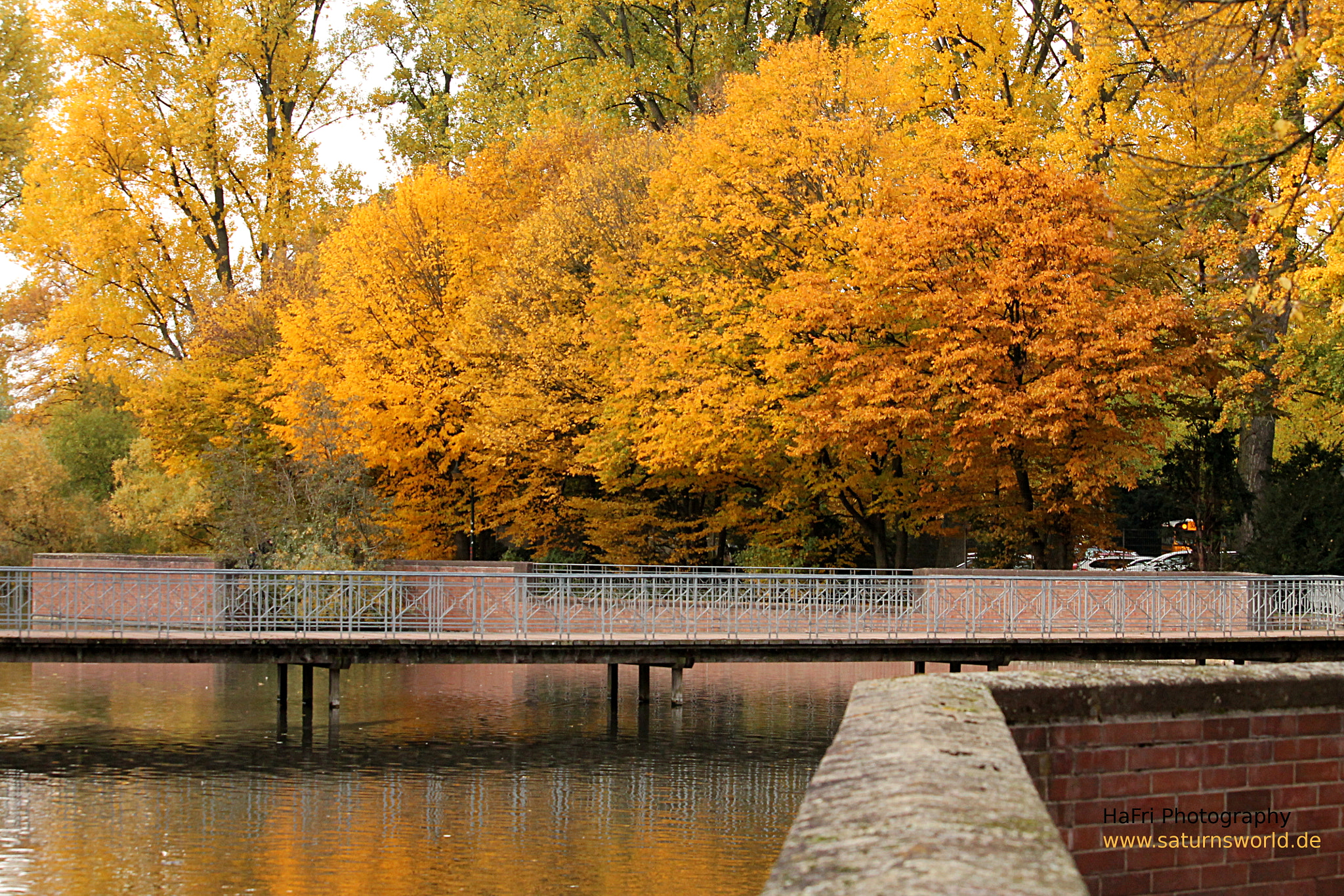Canon EF-S 55-250mm F4-5.6 IS STM sample photo. The bridge photography