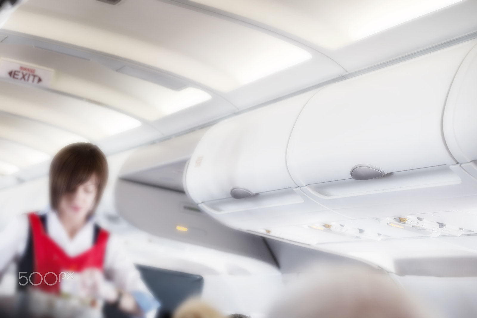 Canon EOS 6D sample photo. Aairplane cabin with flight attendant photography