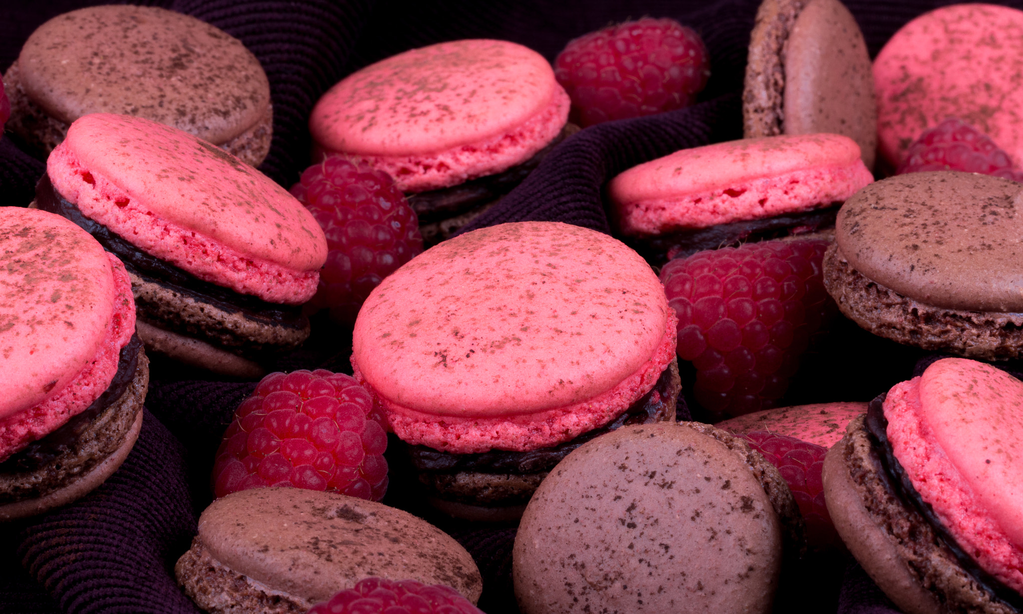 Canon EOS 70D + Canon EF 100mm F2.8L Macro IS USM sample photo. Macaron "chloe" photography