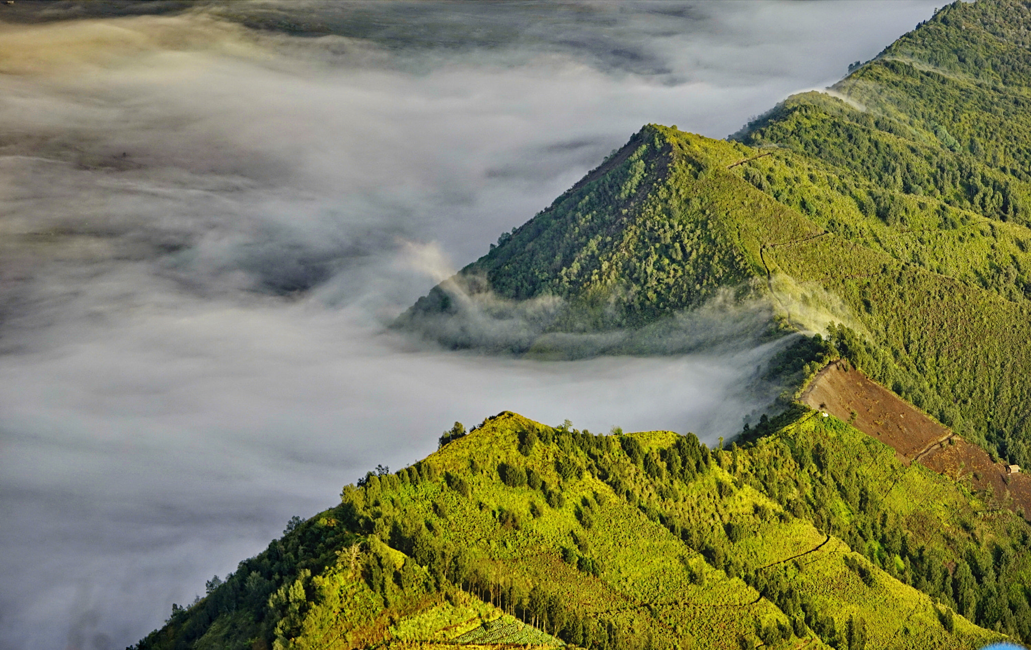 Sony 70-400mm F4-5.6 G SSM II sample photo. Bromo photography