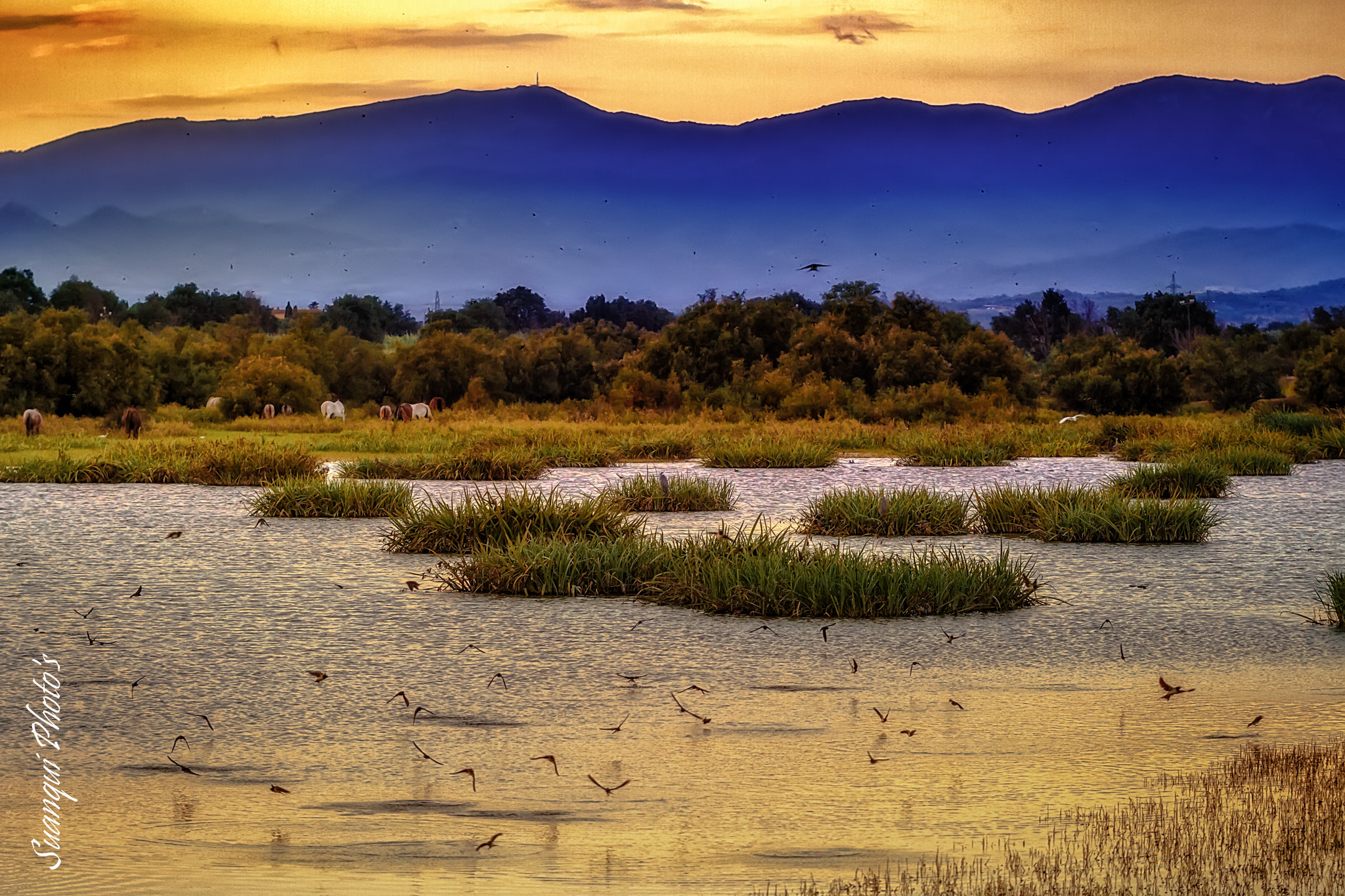 Canon EF 70-200mm F2.8L USM sample photo. Sunset on empordà wetlands photography