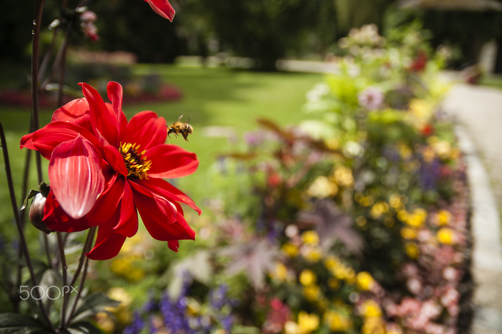 Canon EOS 50D + Sigma 18-50mm f/2.8 Macro sample photo. The colorful park photography