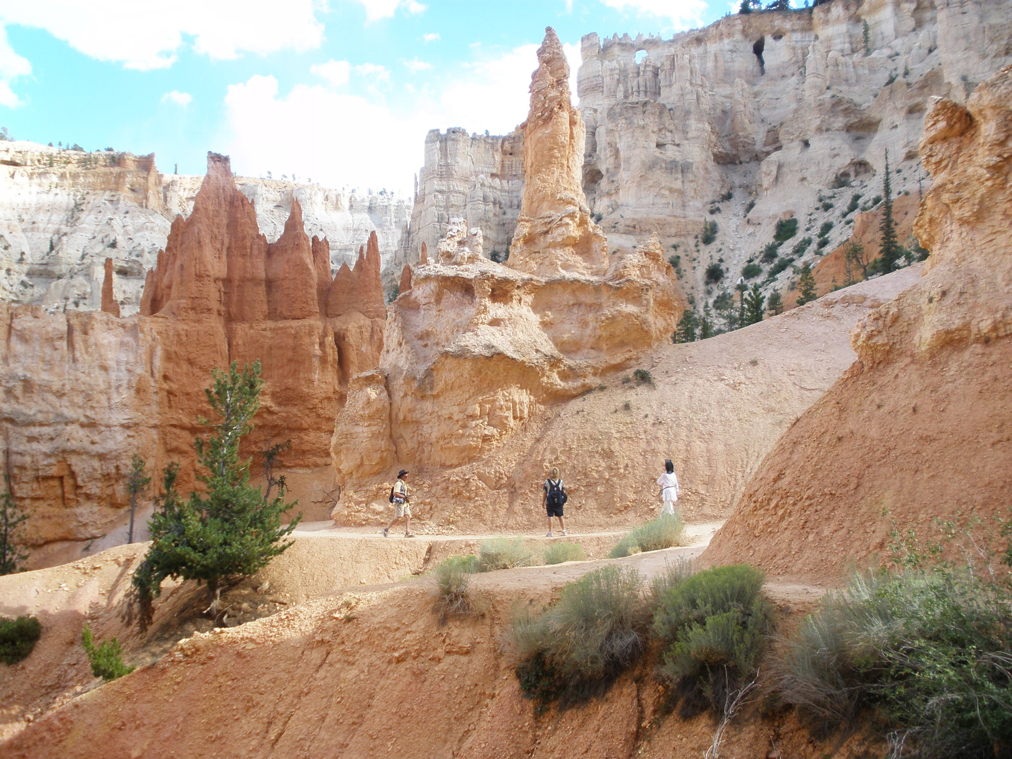 Olympus FE340,X855,C560 sample photo. Bryce canyon photography