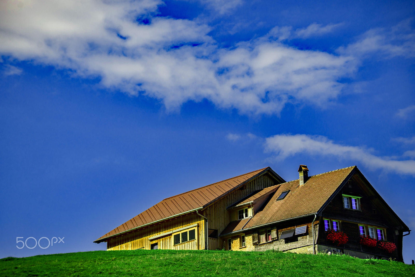 Nikon D600 sample photo. On top of the hill photography