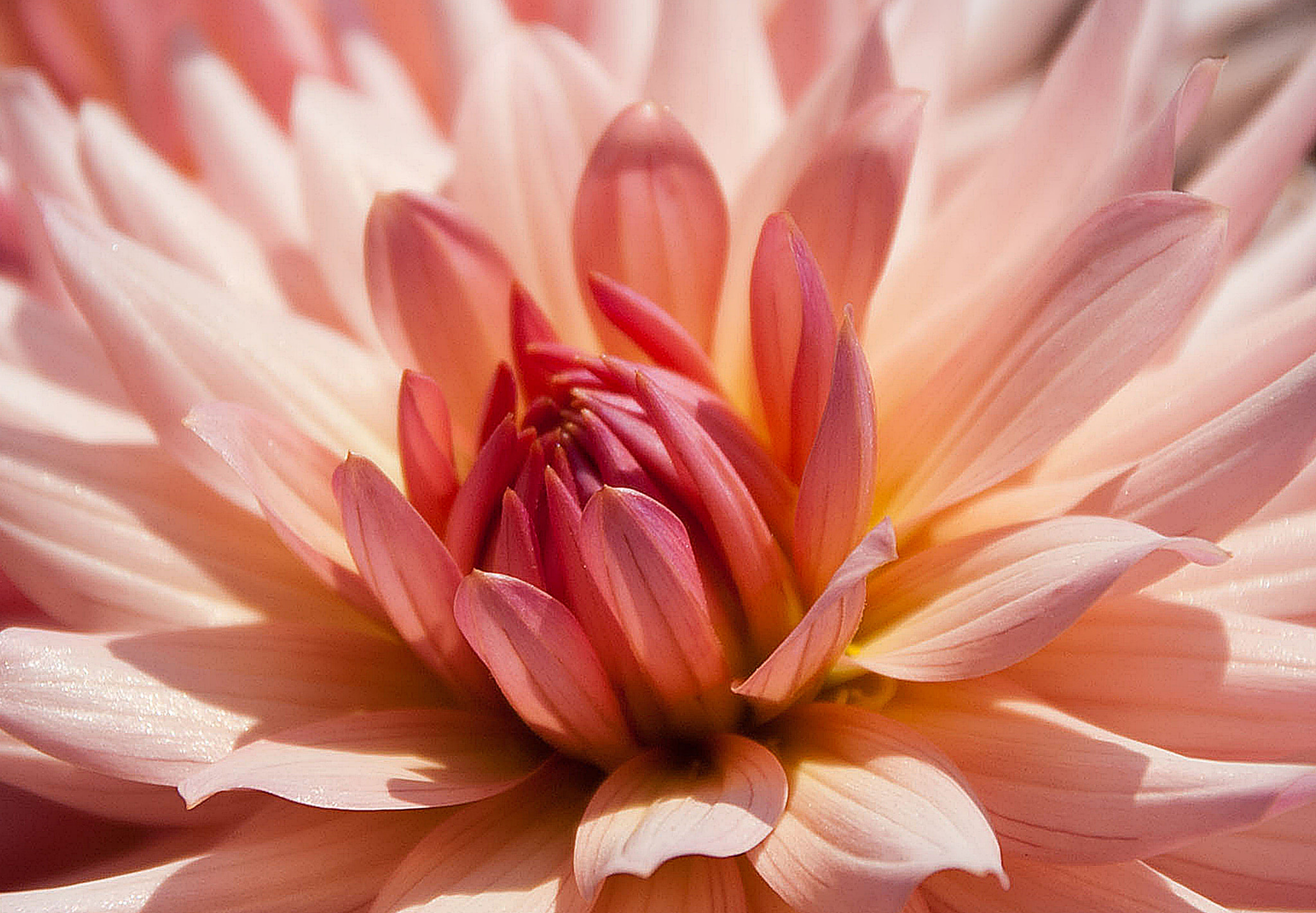 Tamron 18-270mm F3.5-6.3 Di II PZD sample photo. Dalia photography