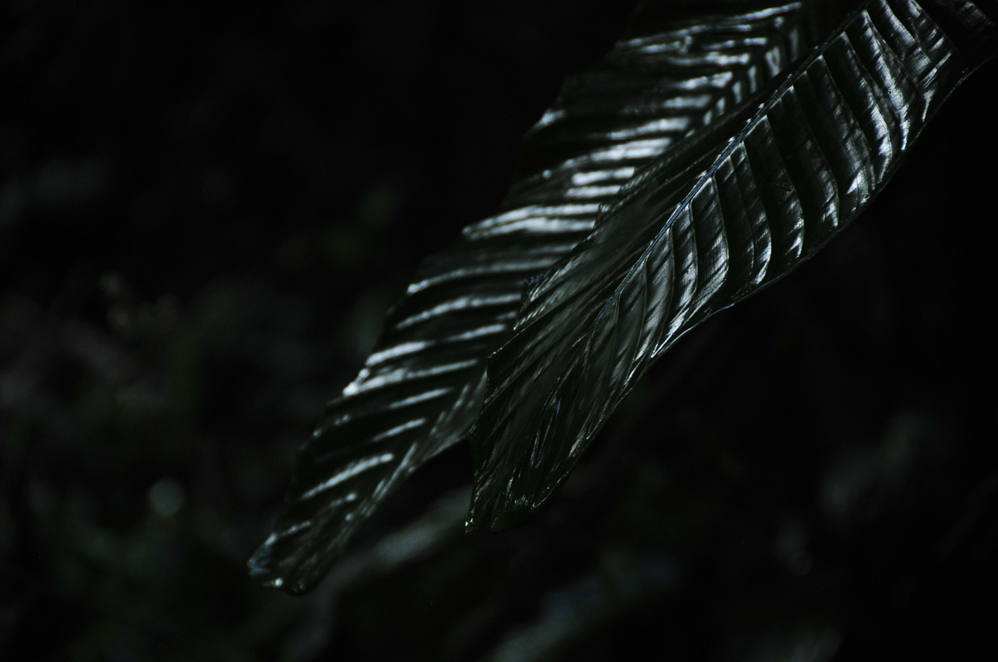 Nikon D3 sample photo. .. photography