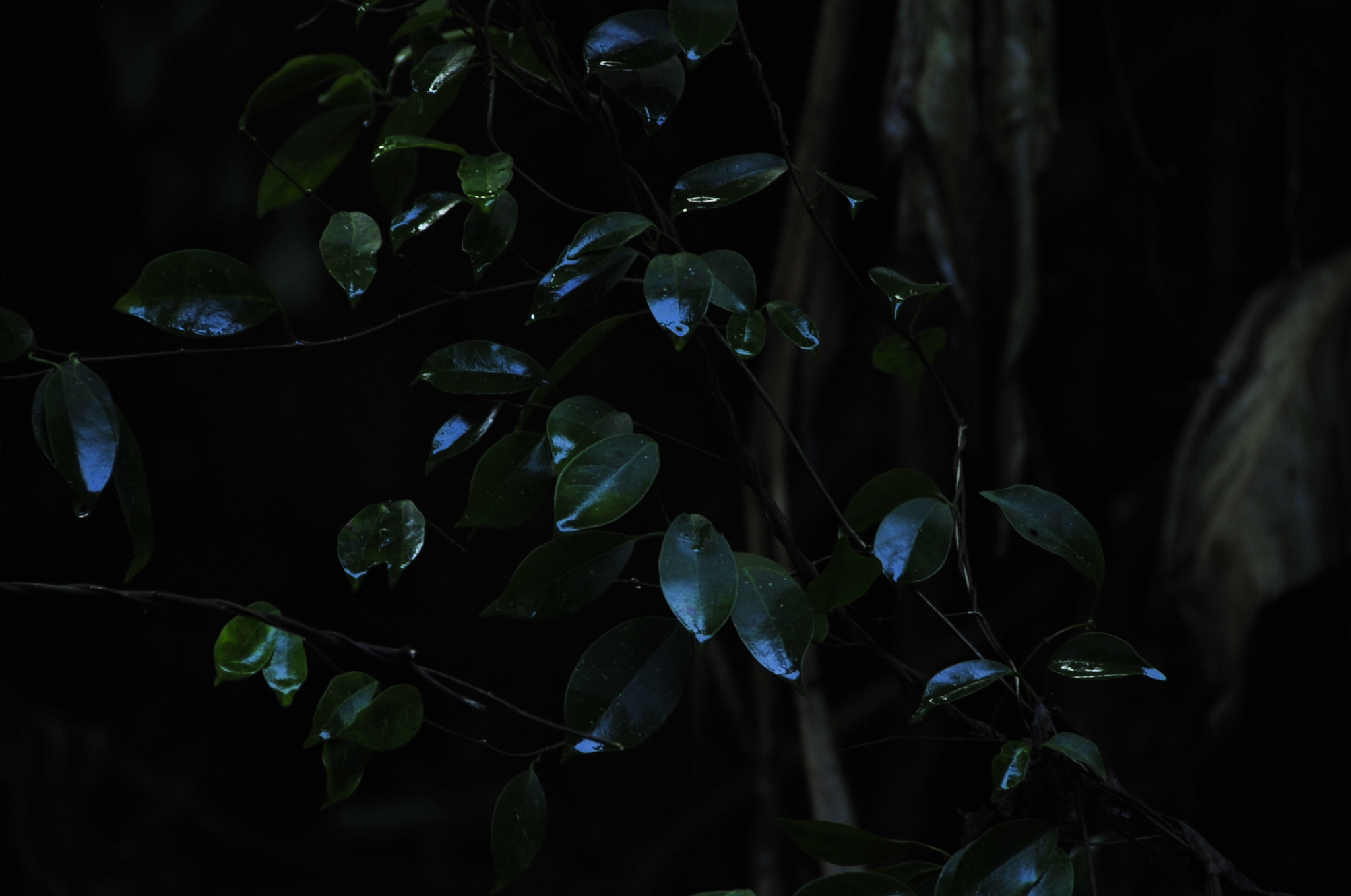 Nikon D3 sample photo. .. photography