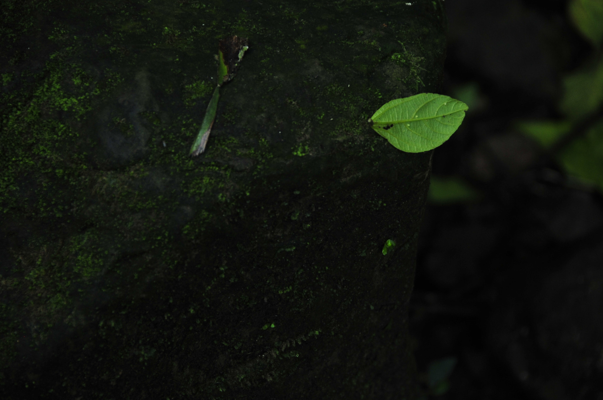 Nikon D3 sample photo. .. photography