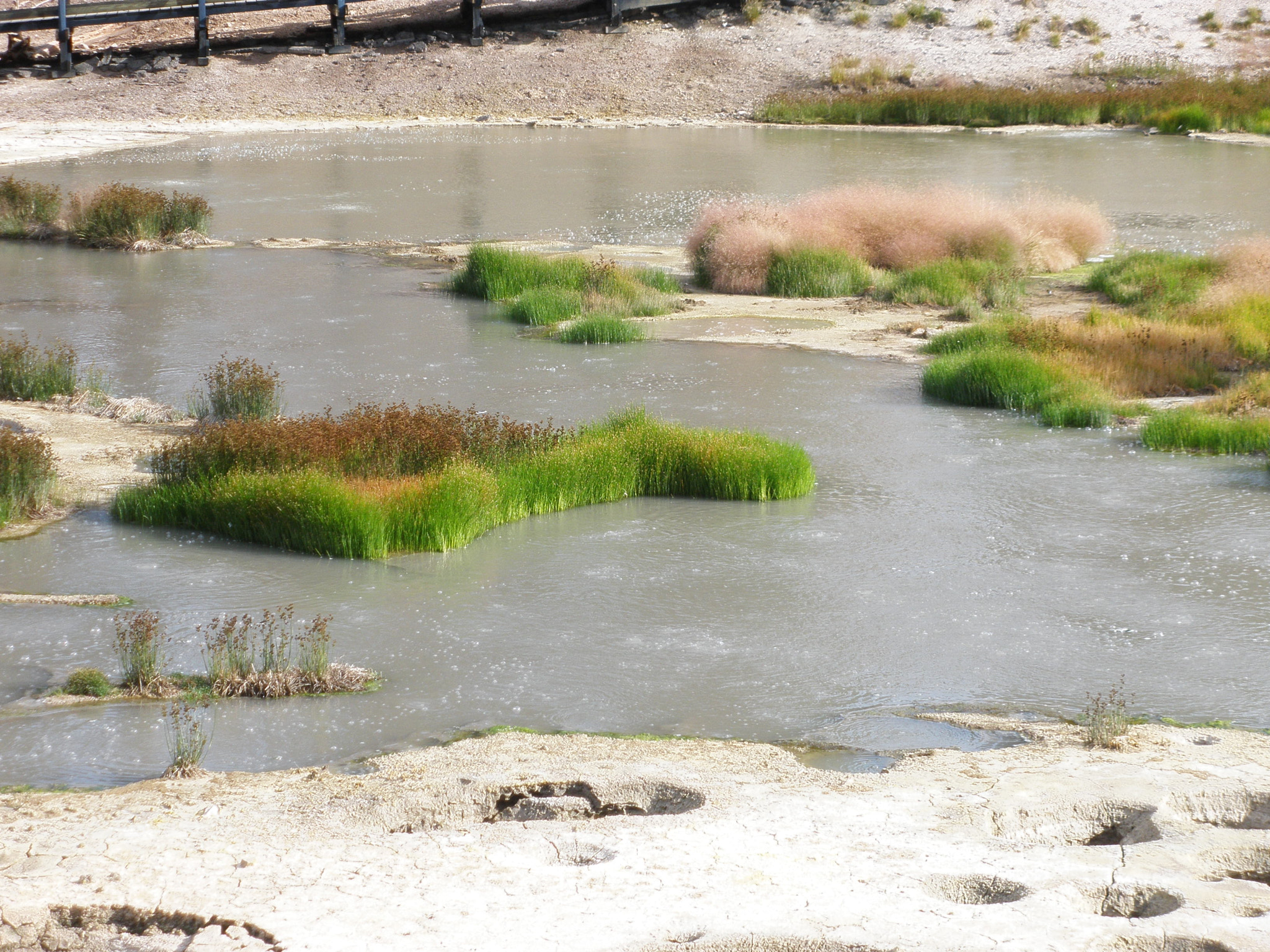 Olympus FE340,X855,C560 sample photo. A yellowstone... photography