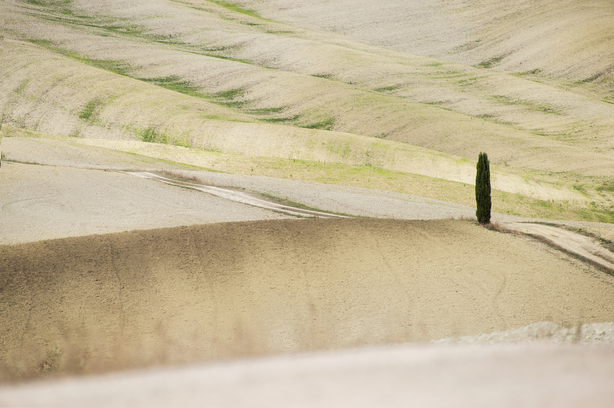 Canon EOS 6D + Canon EF 50mm f/1.8 sample photo. F r e e photography