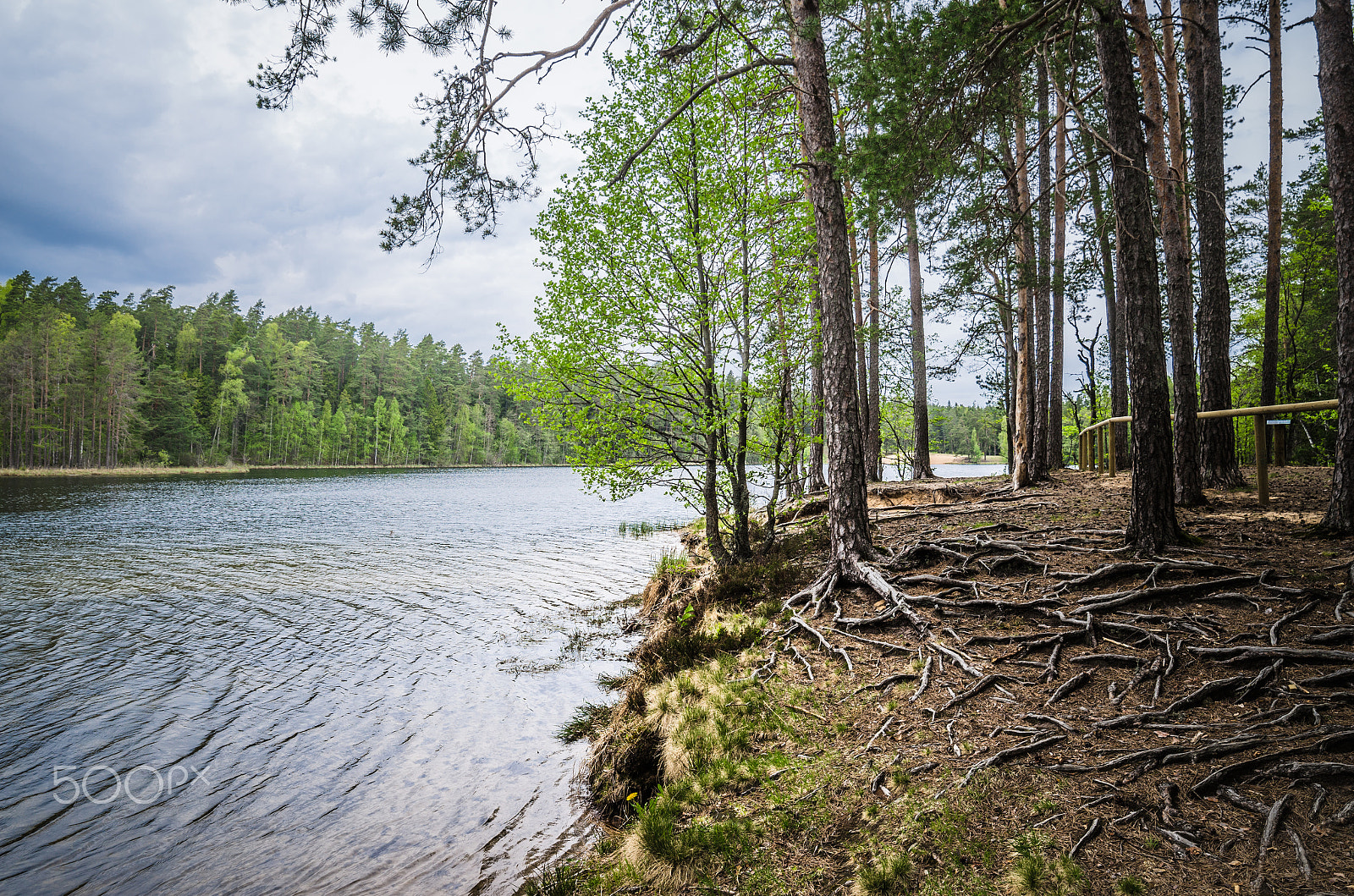 Nikon D7000 + Samyang 14mm F2.8 ED AS IF UMC sample photo. Spring landscape in the forest lake photography