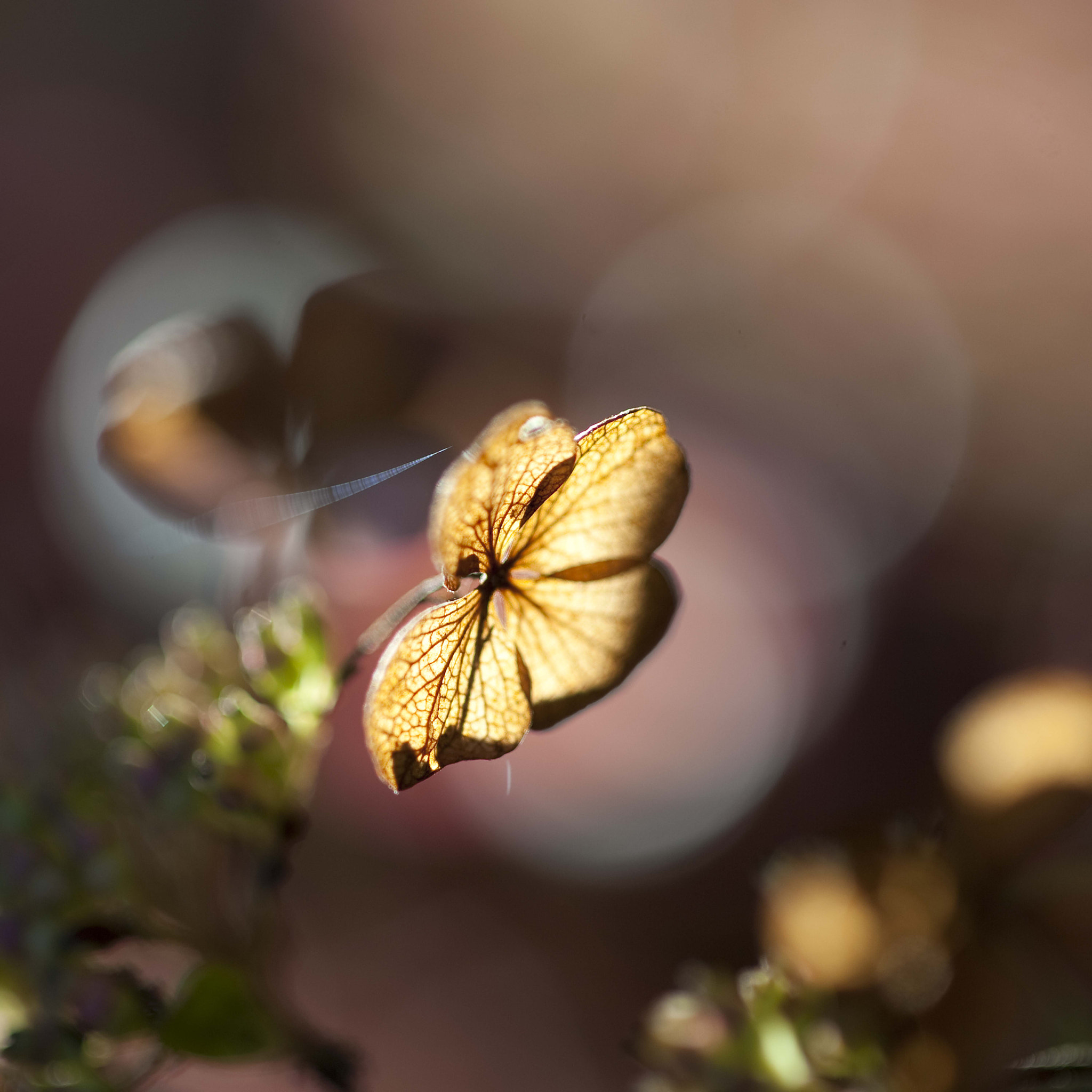 Nikon D3 sample photo
