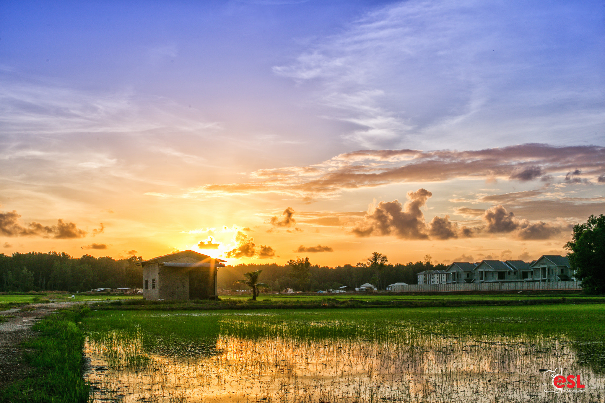 Canon EOS 6D + Canon EF 50mm F2.5 Macro sample photo. Sunset photography
