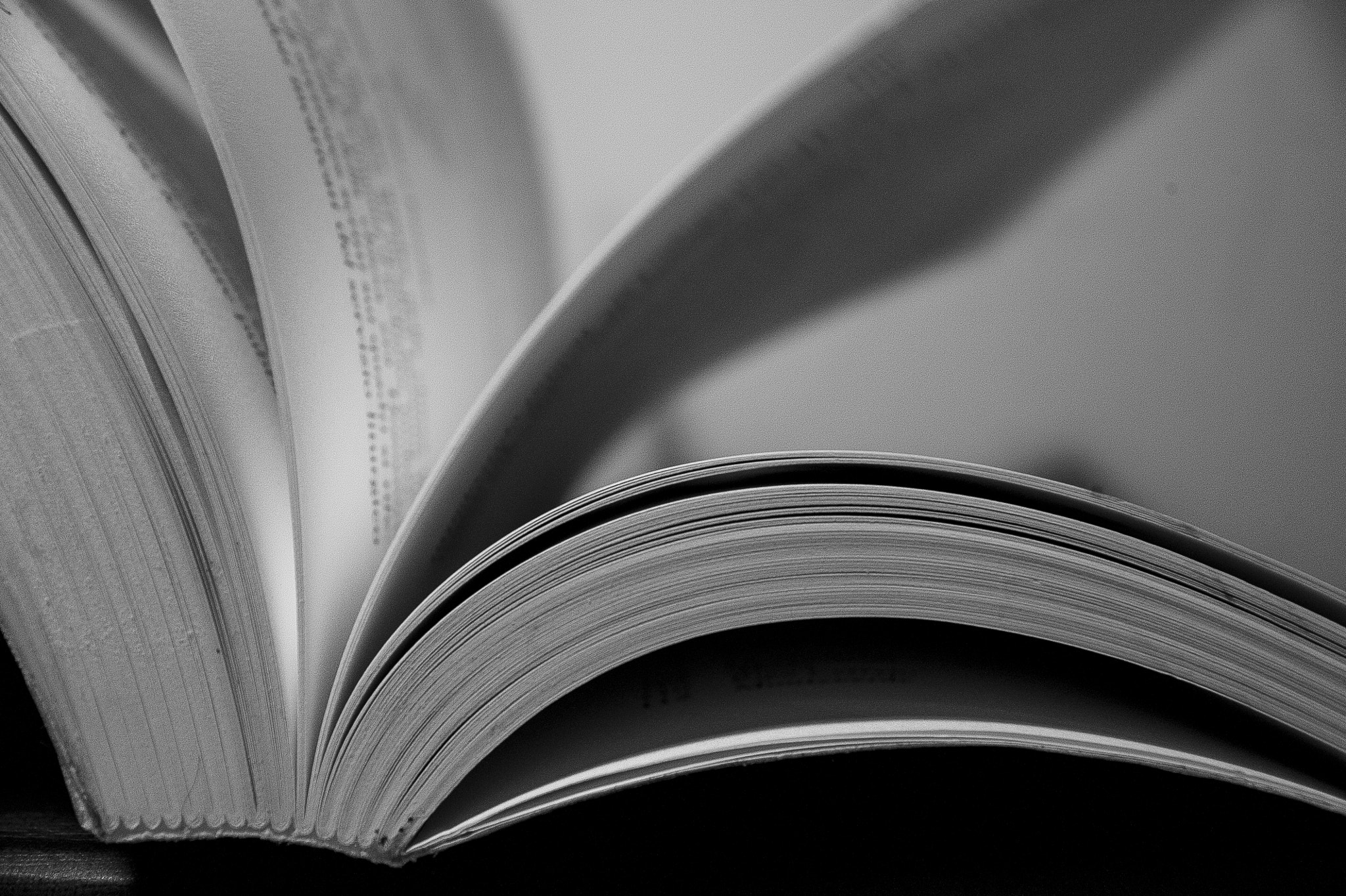 AF Zoom-Nikkor 28-85mm f/3.5-4.5 sample photo. Always a book photography