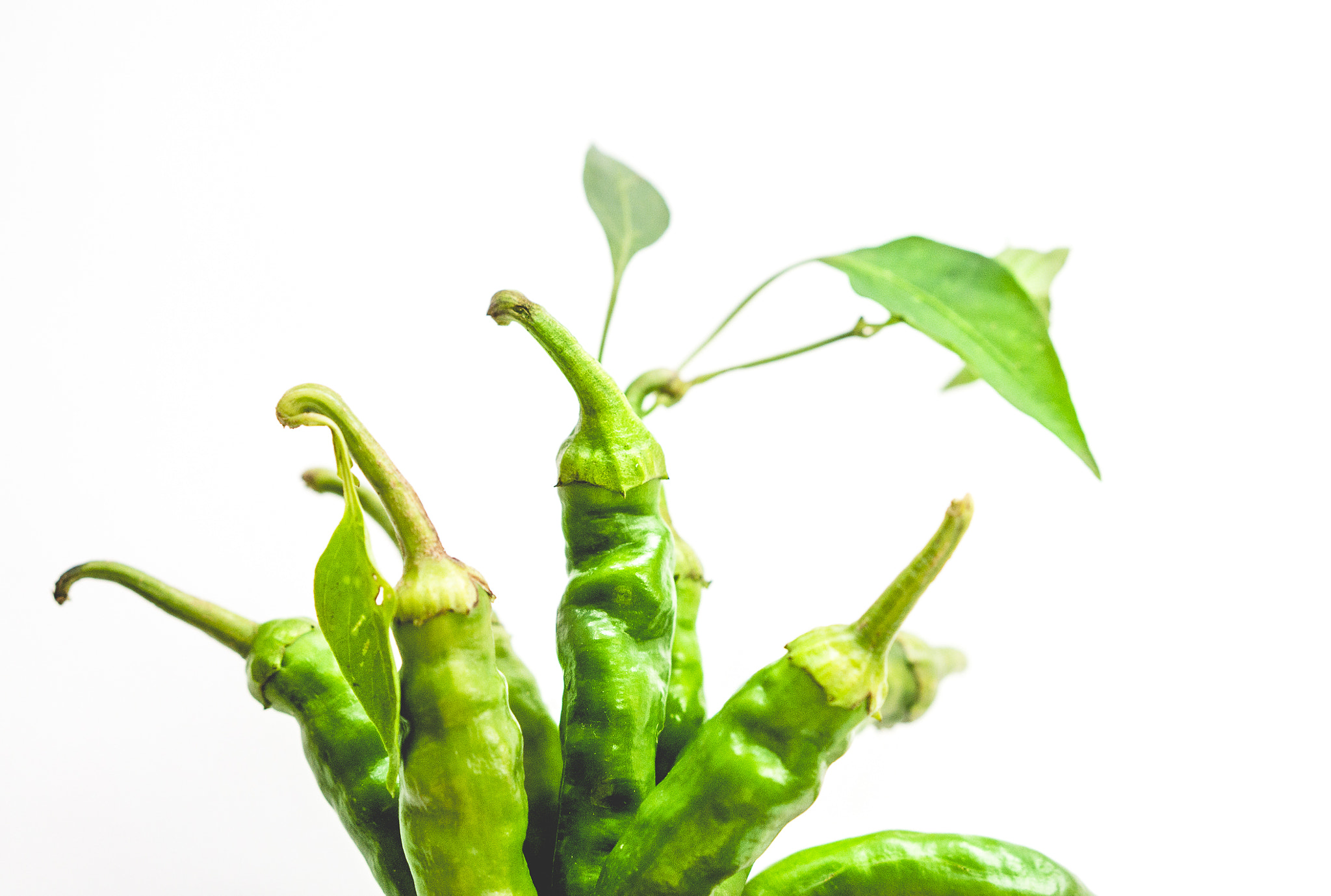 Sony Alpha a3000 sample photo. Food photography photography