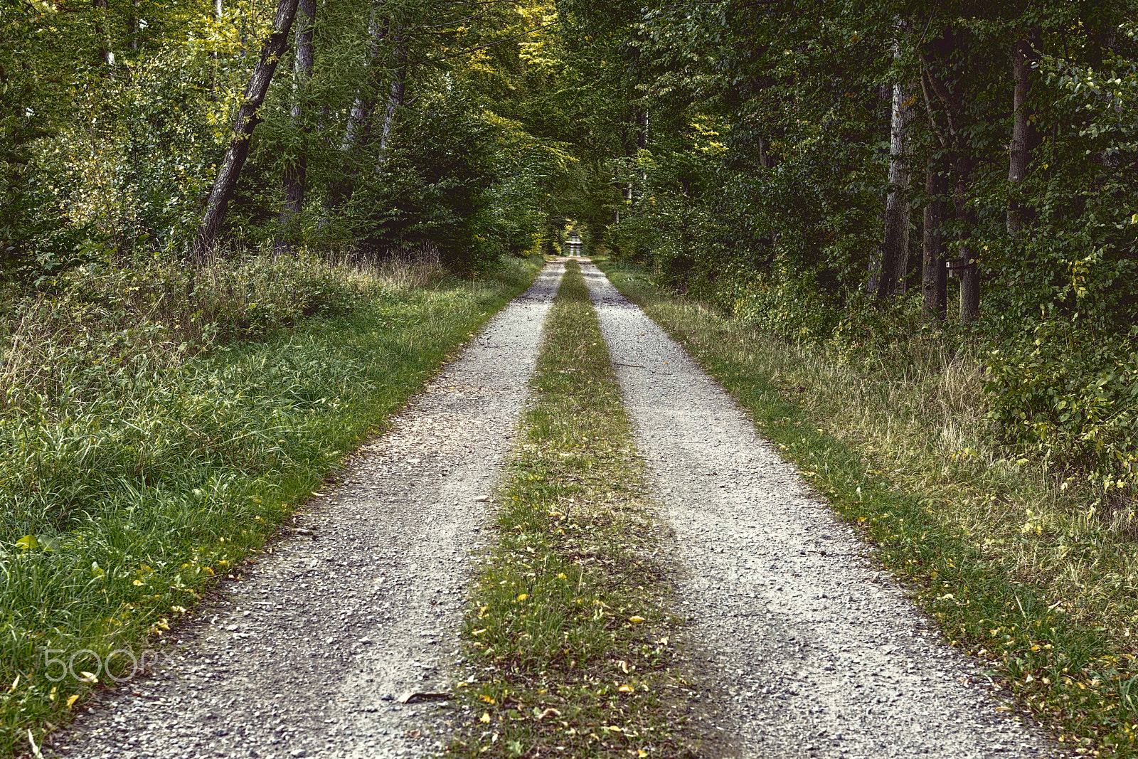 Canon EOS 5DS R + Canon EF 50mm F1.2L USM sample photo. The road photography