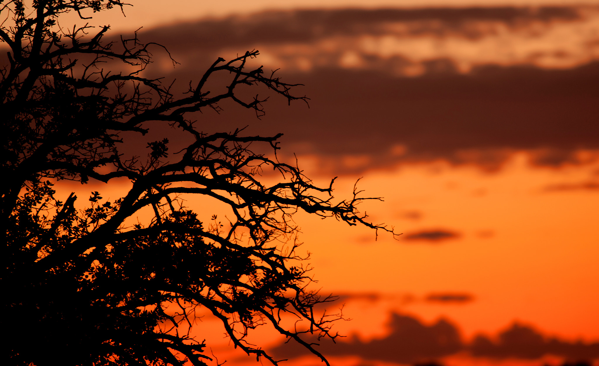 Canon EOS 5D Mark II sample photo. Beautiful sunset with orange colors photography