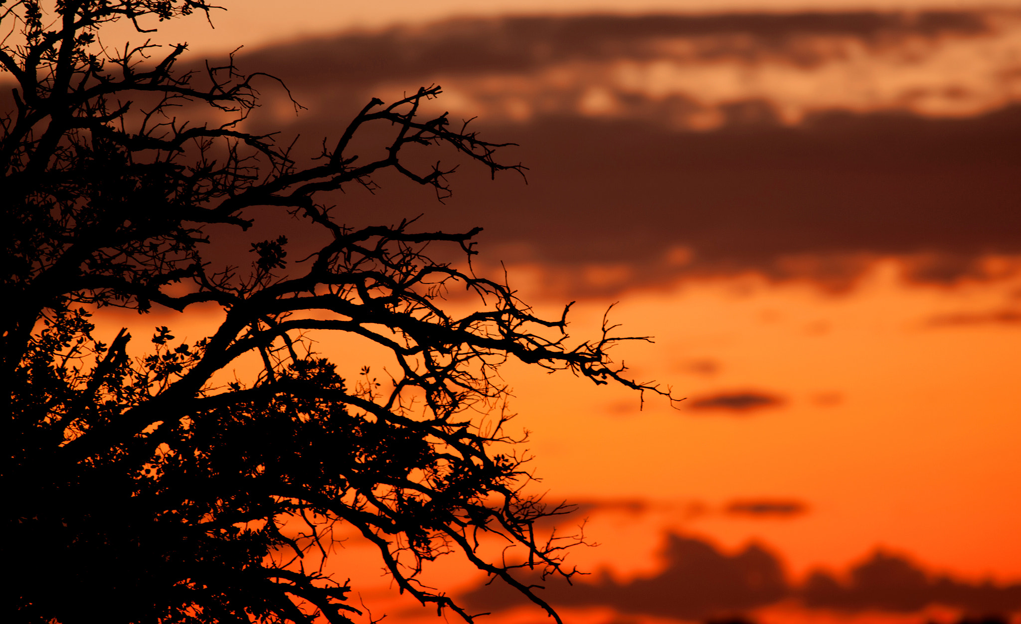 Canon EF 400mm F5.6L USM sample photo. Beautiful sunset with orange colors photography