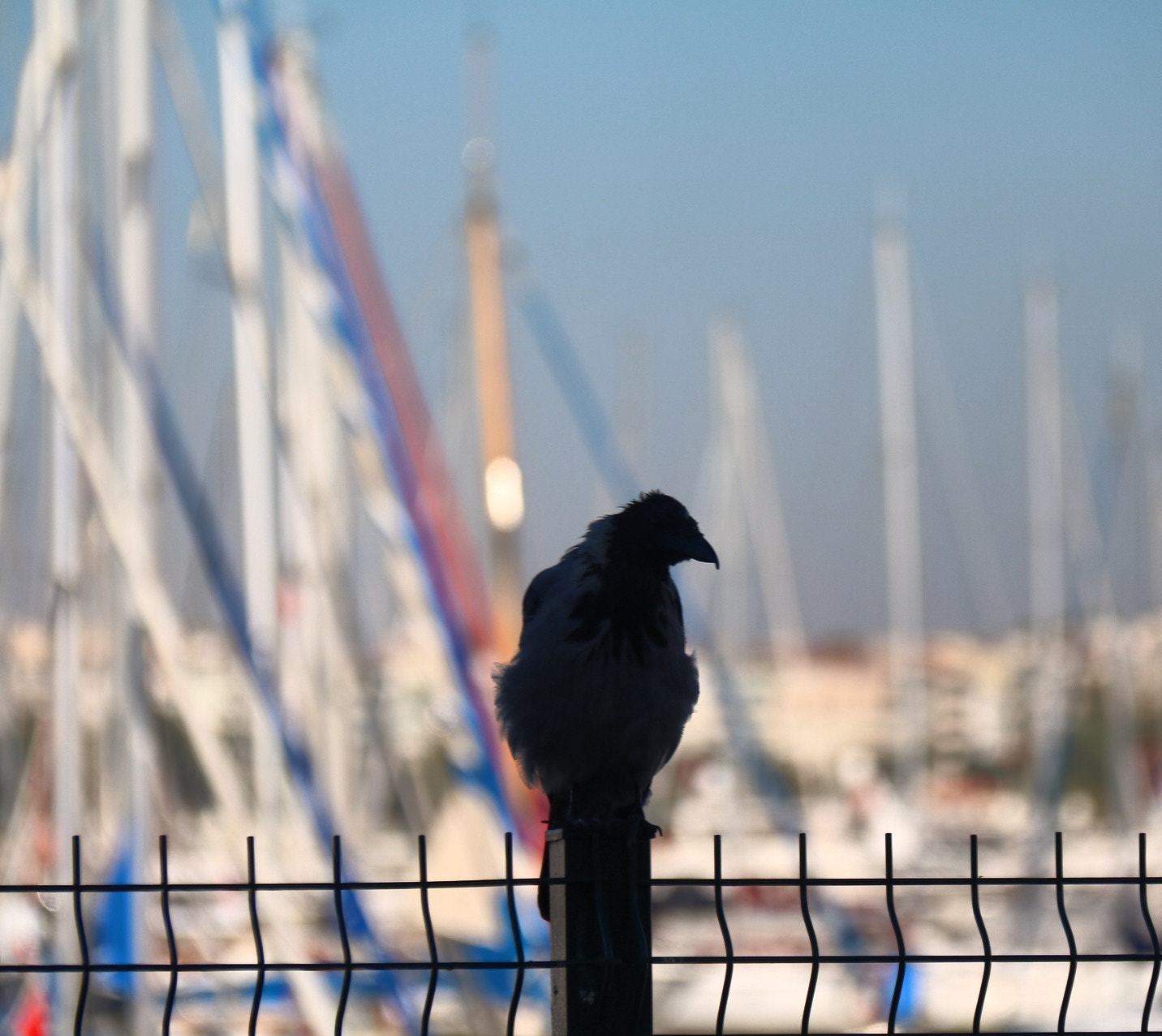 Canon EOS 750D (EOS Rebel T6i / EOS Kiss X8i) + Canon EF-S 18-200mm F3.5-5.6 IS sample photo. Istanbul-turkey photography